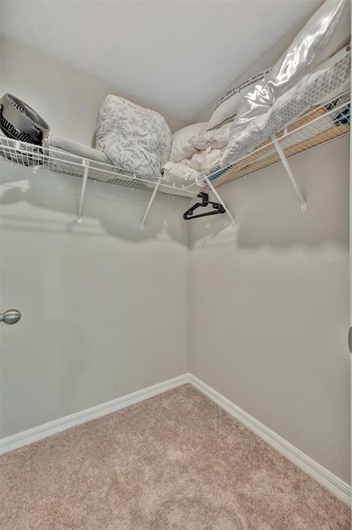 12950 Pasture Wds Place Lithia, FL 33547 - Photo 42 of 45