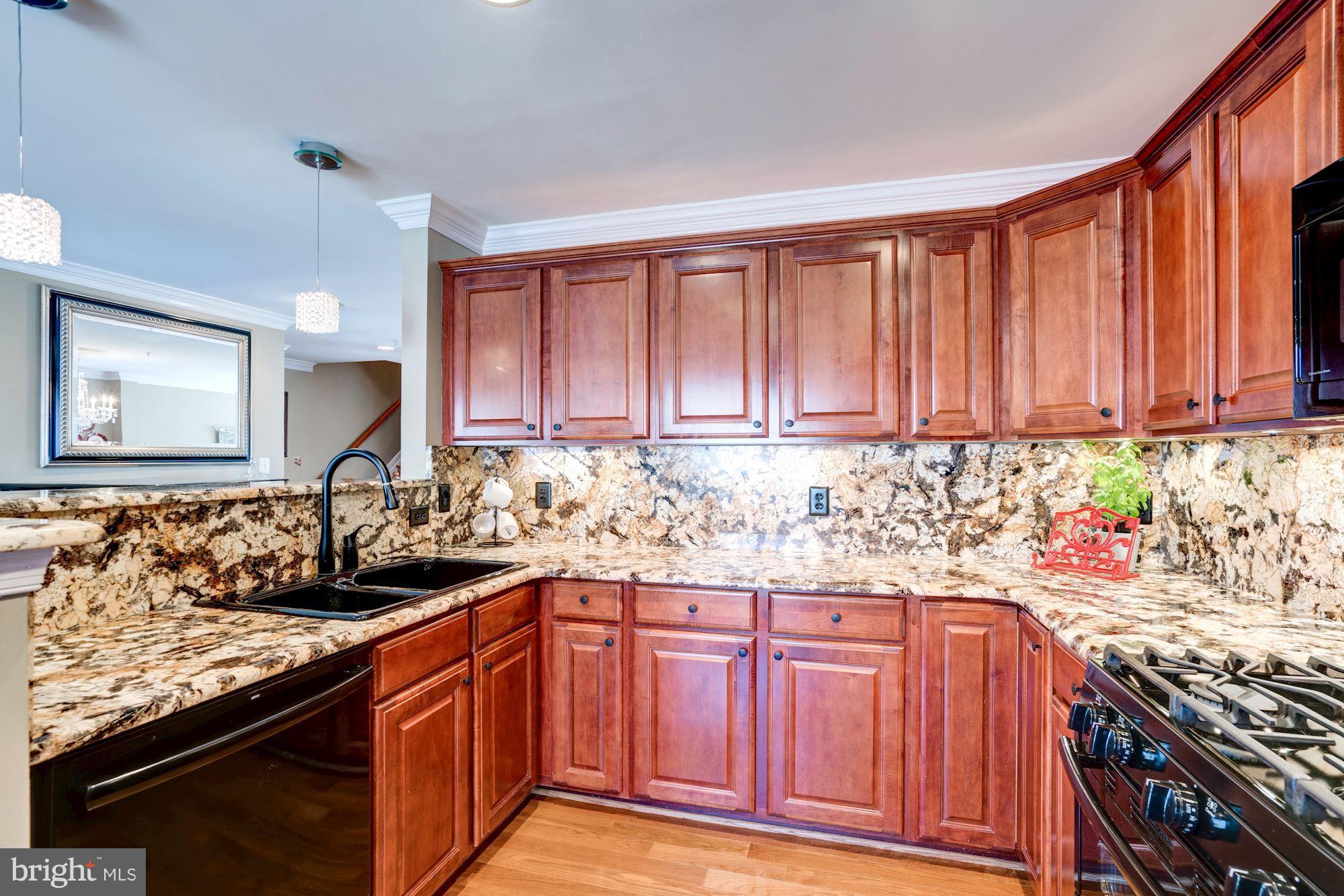 12099 Trumbull Way Reston, VA 20190 - Photo 3 of 30 Stunning granite backsplash and countertops