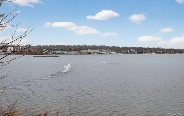 $560,000 | 1 Toms Point Lane, Unit 2A, Port Washington, NY 11050