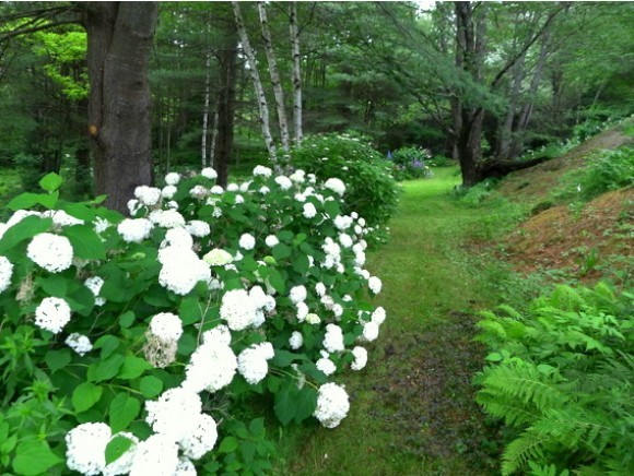 114 Cote Hill Road Morristown, VT 05661 - Photo 11 of 36 Gallery Image 11
