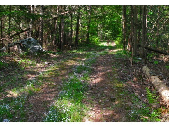 114 Cote Hill Road Morristown, VT 05661 - Photo 25 of 36 Gallery Image 25