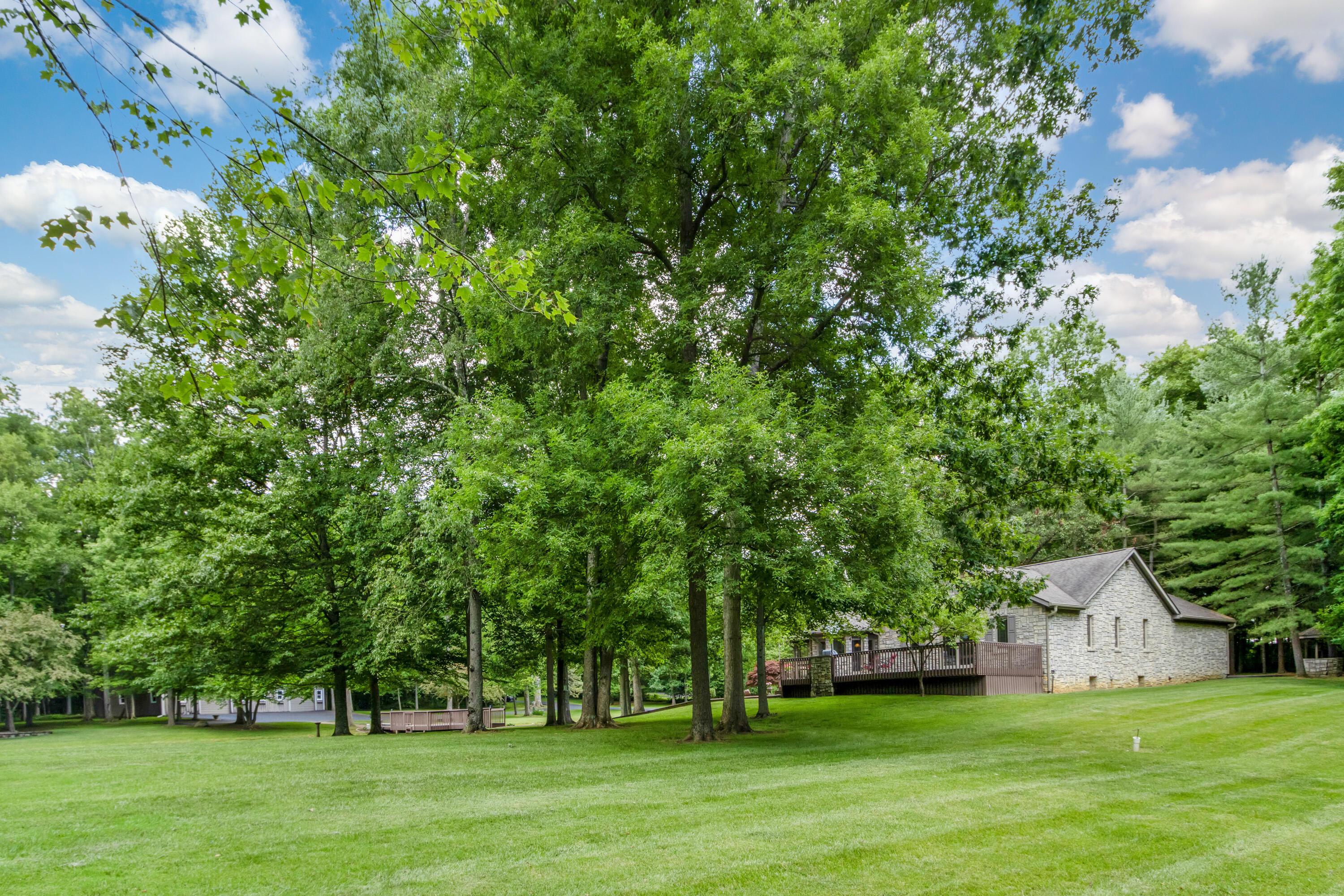 12110 State Rte 521 Sunbury, OH 43074 - Photo 41 of 50 12110 State Route 521-49.jpg-FULL