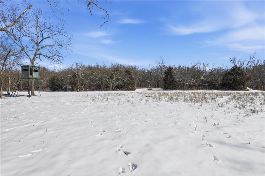 17115 East 215th Street Peculiar, MO 64078 - Photo 36 of 43