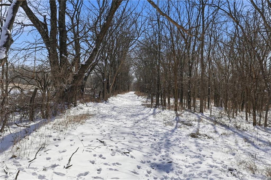 17115 East 215th Street Peculiar, MO 64078 - Photo 38 of 43