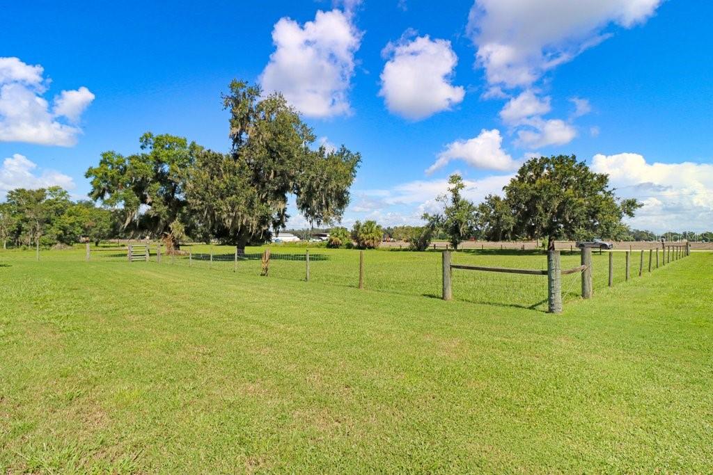 13221 Tom Gallagher Road Dover, FL 33527 - Photo 67 of 80 Gallery Image 67