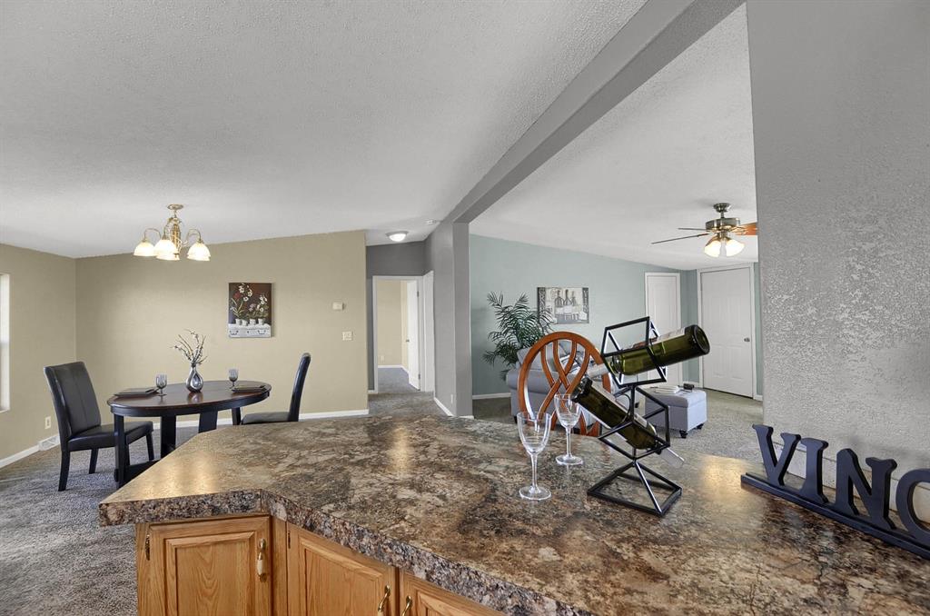 39380 Big Springs Road Rush, CO 80833 - Photo 3 of 36