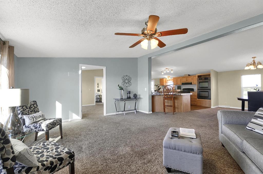39380 Big Springs Road Rush, CO 80833 - Photo 22 of 36