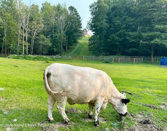 $12,500,000 | 241 Cunningham Hill Road, Canaan, NY 12029