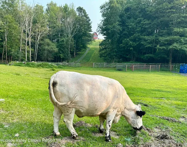 $12,500,000 | 241 Cunningham Hill Road, Canaan, NY 12029