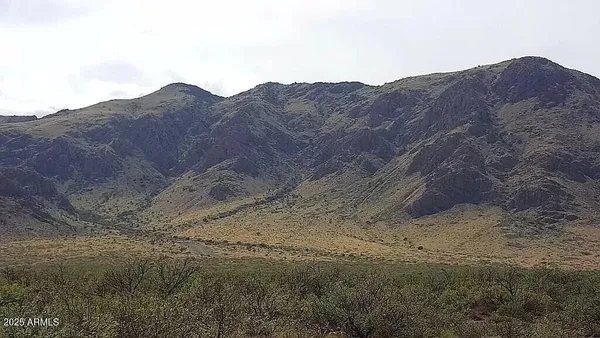 a view of a dry yard with mountains in the background