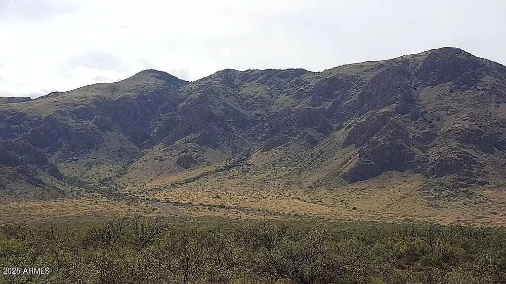 37 Blacktail Road San Simon, AZ 85632 - Photo 5 of 10 a view of a dry yard with mountains in the background