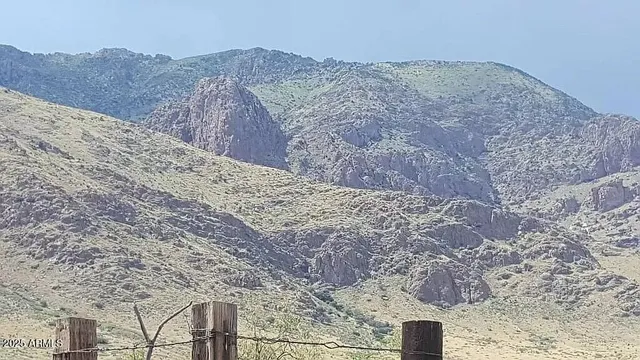 a view of a dry yard