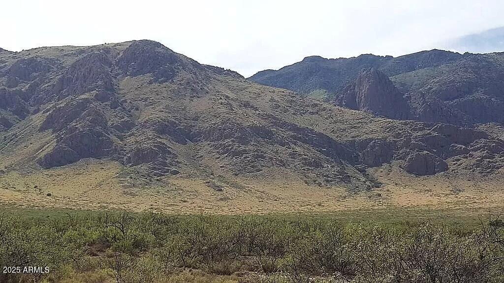 37 Blacktail Road San Simon, AZ 85632 - Photo 7 of 10 a view of mountain and a mountain view