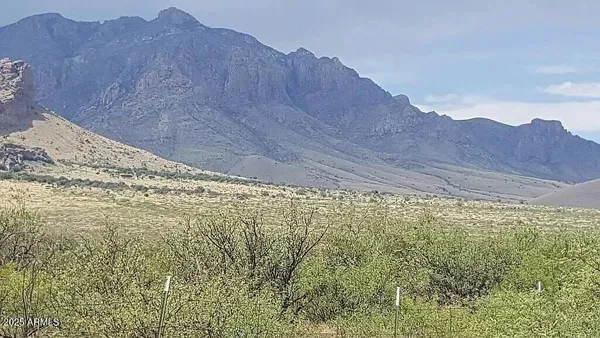 a view of a yard with a mountain view
