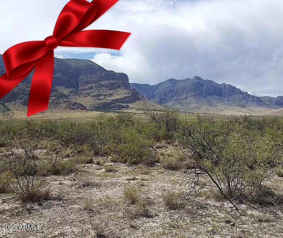 37 Blacktail Road San Simon, AZ 85632 - Photo 10 of 10 a view of a backyard
