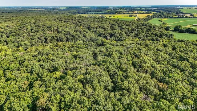 $850,113 | 0 County Road 210, Fulton, MO 65251