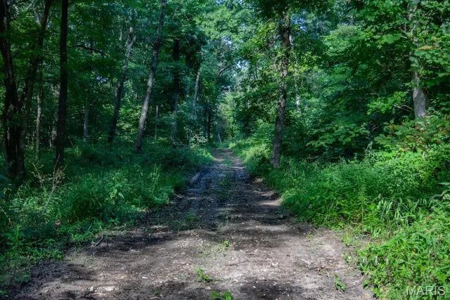 $850,113 | 0 County Road 210, Fulton, MO 65251