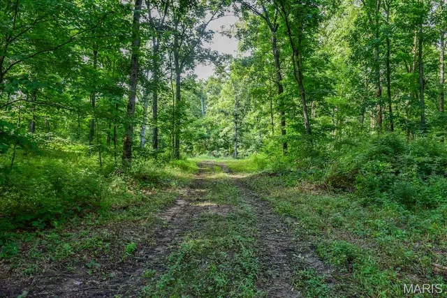 $850,113 | 0 County Road 210, Fulton, MO 65251