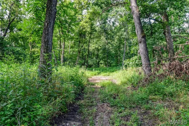 $850,113 | 0 County Road 210, Fulton, MO 65251