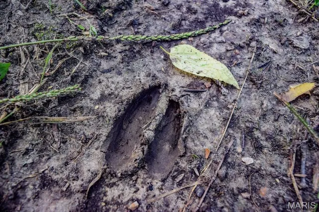 $850,113 | 0 County Road 210, Fulton, MO 65251