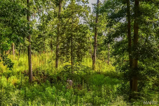 $850,113 | 0 County Road 210, Fulton, MO 65251