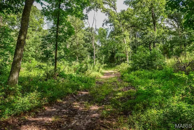 $850,113 | 0 County Road 210, Fulton, MO 65251