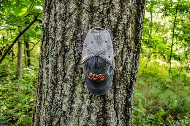 $850,113 | 0 County Road 210, Fulton, MO 65251