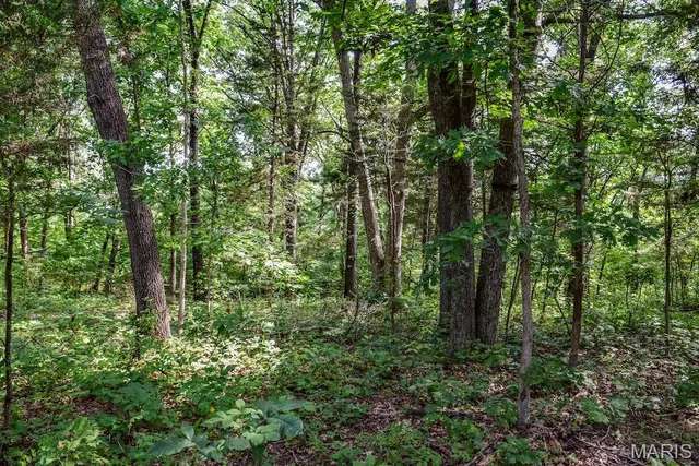 $850,113 | 0 County Road 210, Fulton, MO 65251