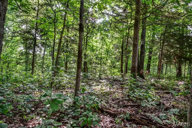 $850,113 | 0 County Road 210, Fulton, MO 65251