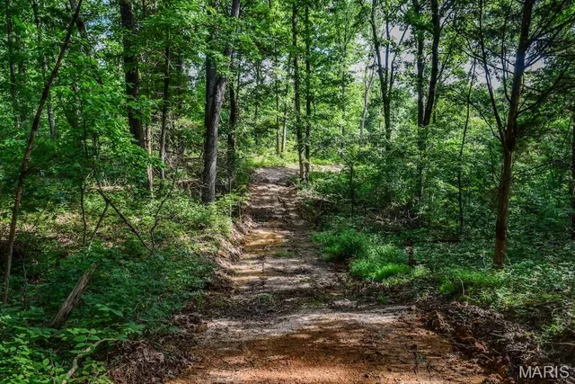 $850,113 | 0 County Road 210, Fulton, MO 65251