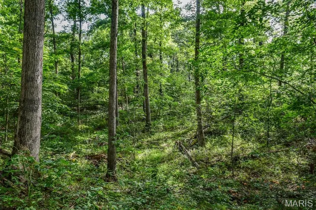 $850,113 | 0 County Road 210, Fulton, MO 65251