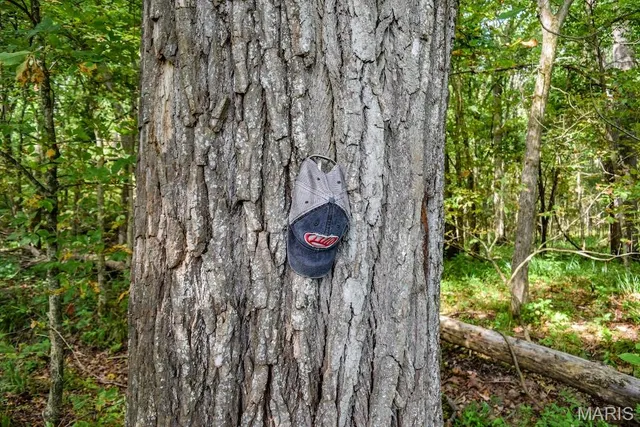 $850,113 | 0 County Road 210, Fulton, MO 65251