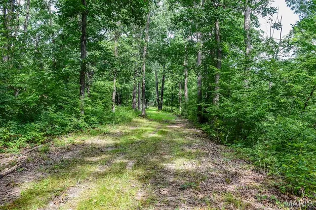 $850,113 | 0 County Road 210, Fulton, MO 65251