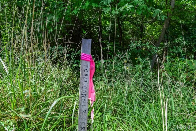 $850,113 | 0 County Road 210, Fulton, MO 65251