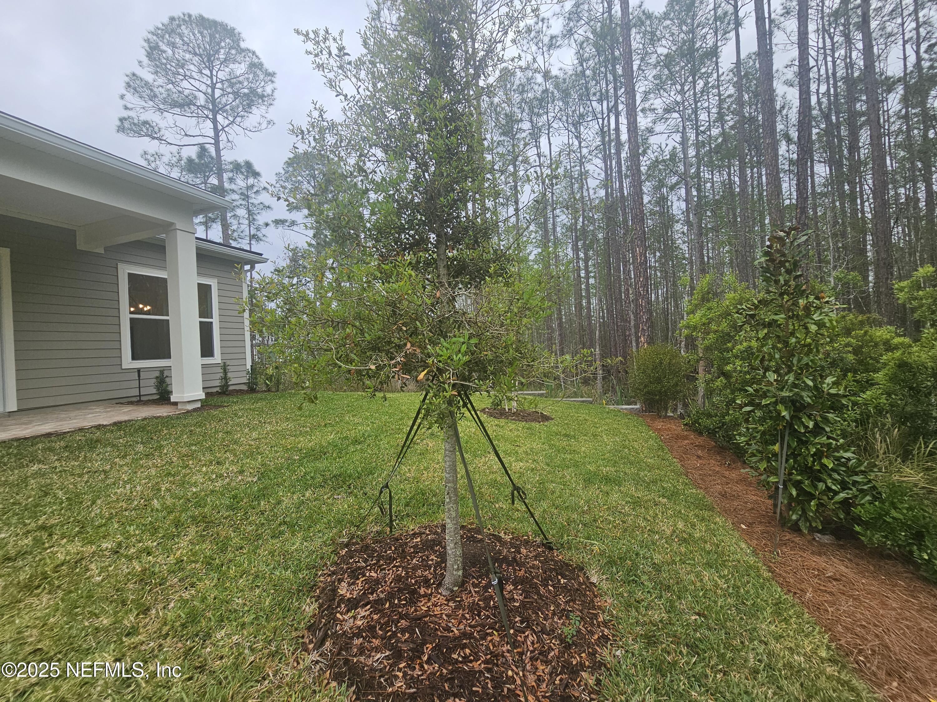 265 Wye Road St. Johns, FL 32259 - Photo 51 of 76 Private Views from the Back Yard