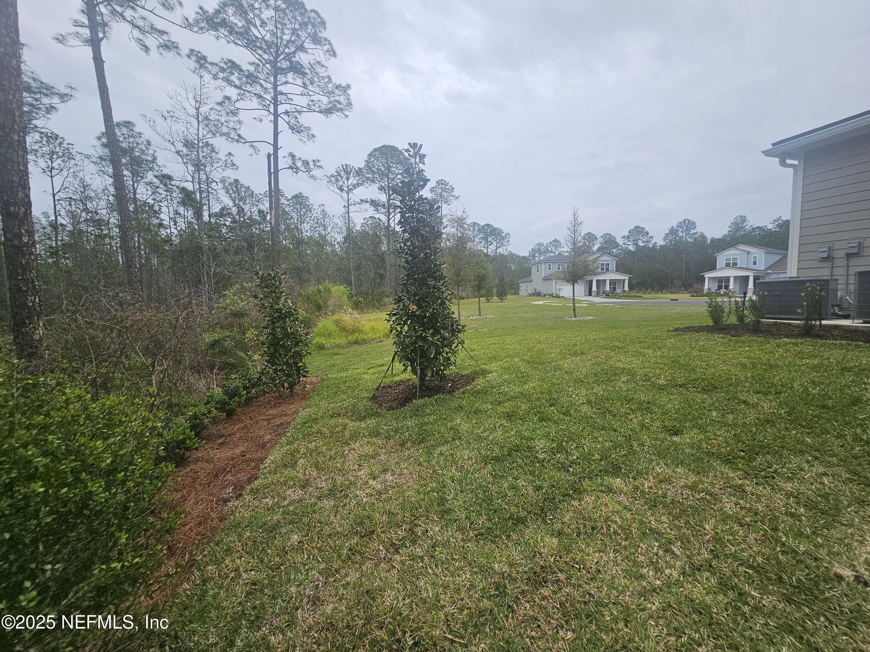 265 Wye Road St. Johns, FL 32259 - Photo 52 of 76 Private Views from the Back Yard
