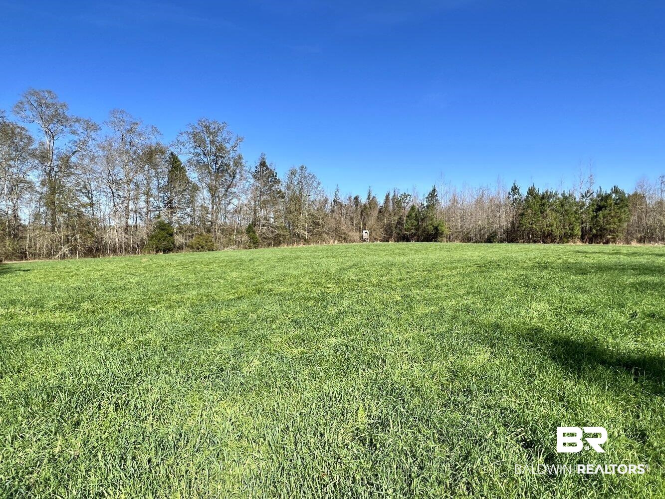0 Highway 84 Evergreen, AL 36401 - Photo 42 of 50