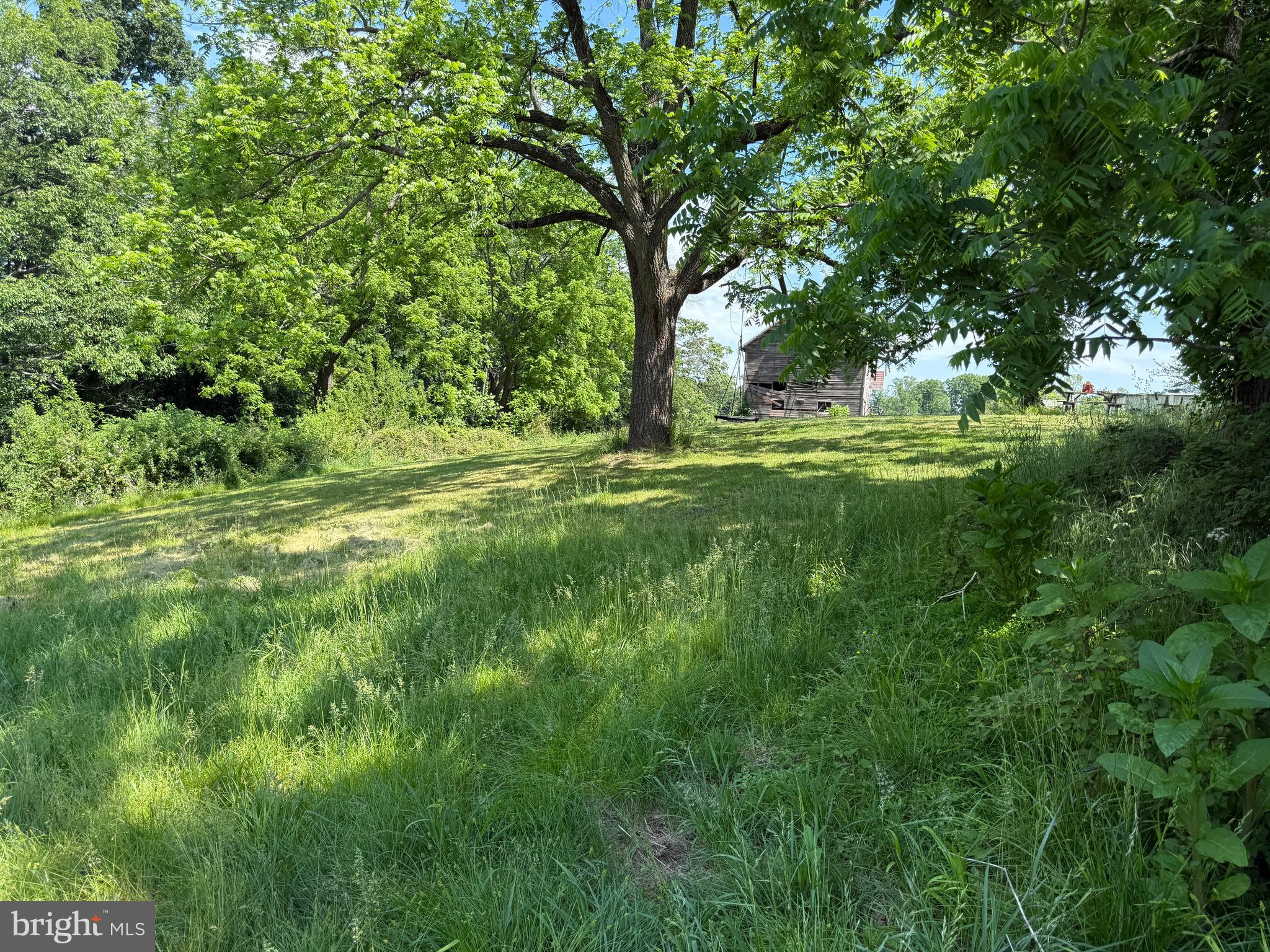 800 Trevanion Road Union Bridge, MD 21791 - Photo 37 of 61 a big yard with lots of green space and trees
