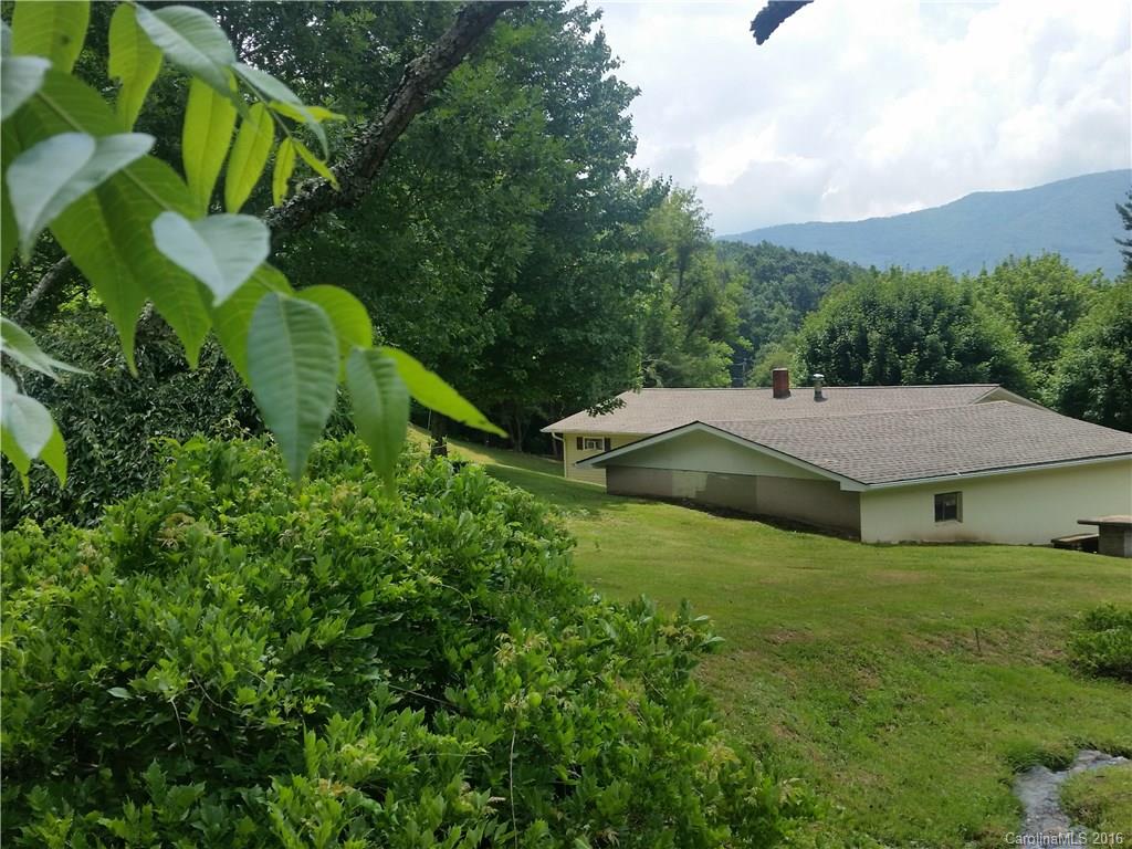 1150 Orion Davis Road Waynesville, NC 28786 - Photo 3 of 15 Gallery Image 3