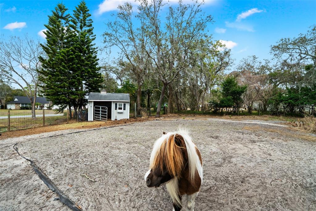6568 Millstone Drive New Port Richey, FL 34655 - Photo 52 of 61