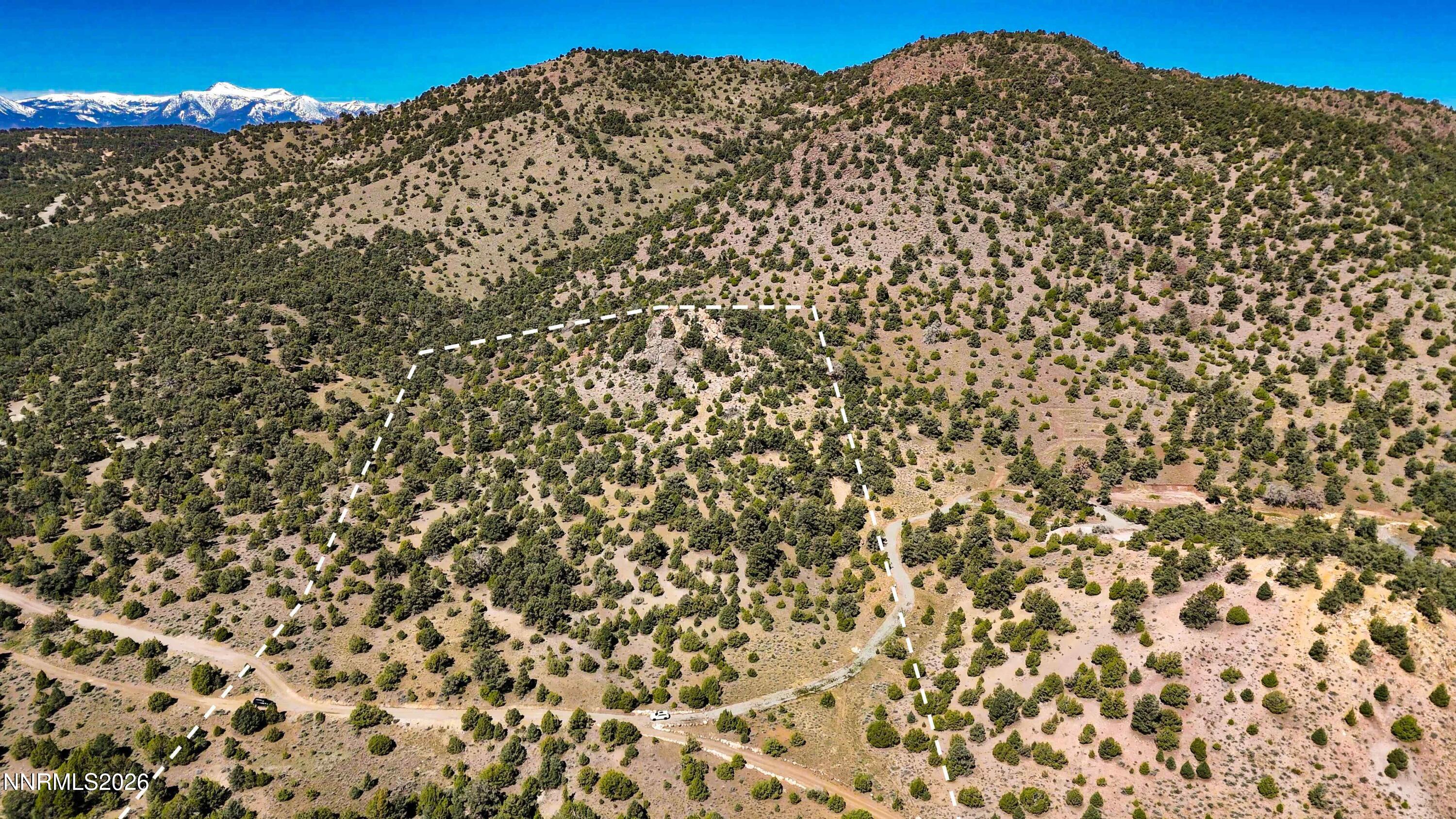 2120 Castle Peak Road Reno, NV 89521 - Photo 15 of 54 a view of a large tree