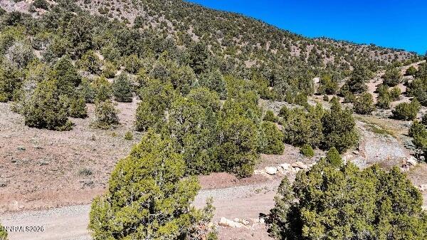 2120 Castle Peak Road Reno, NV 89521 - Photo 22 of 54 a view of a yard with a tree