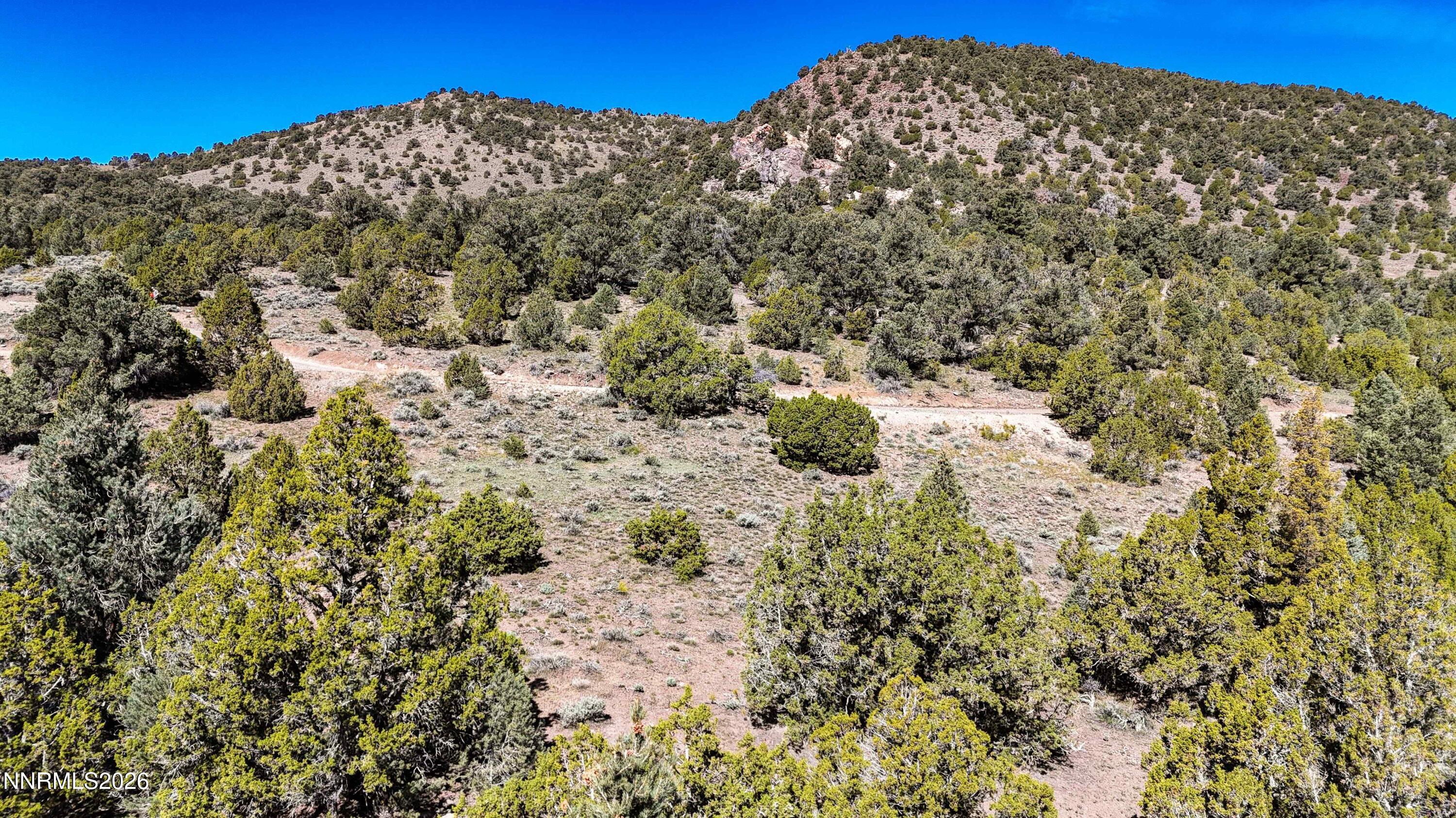 2120 Castle Peak Road Reno, NV 89521 - Photo 32 of 54 a view of a large tree with a yard