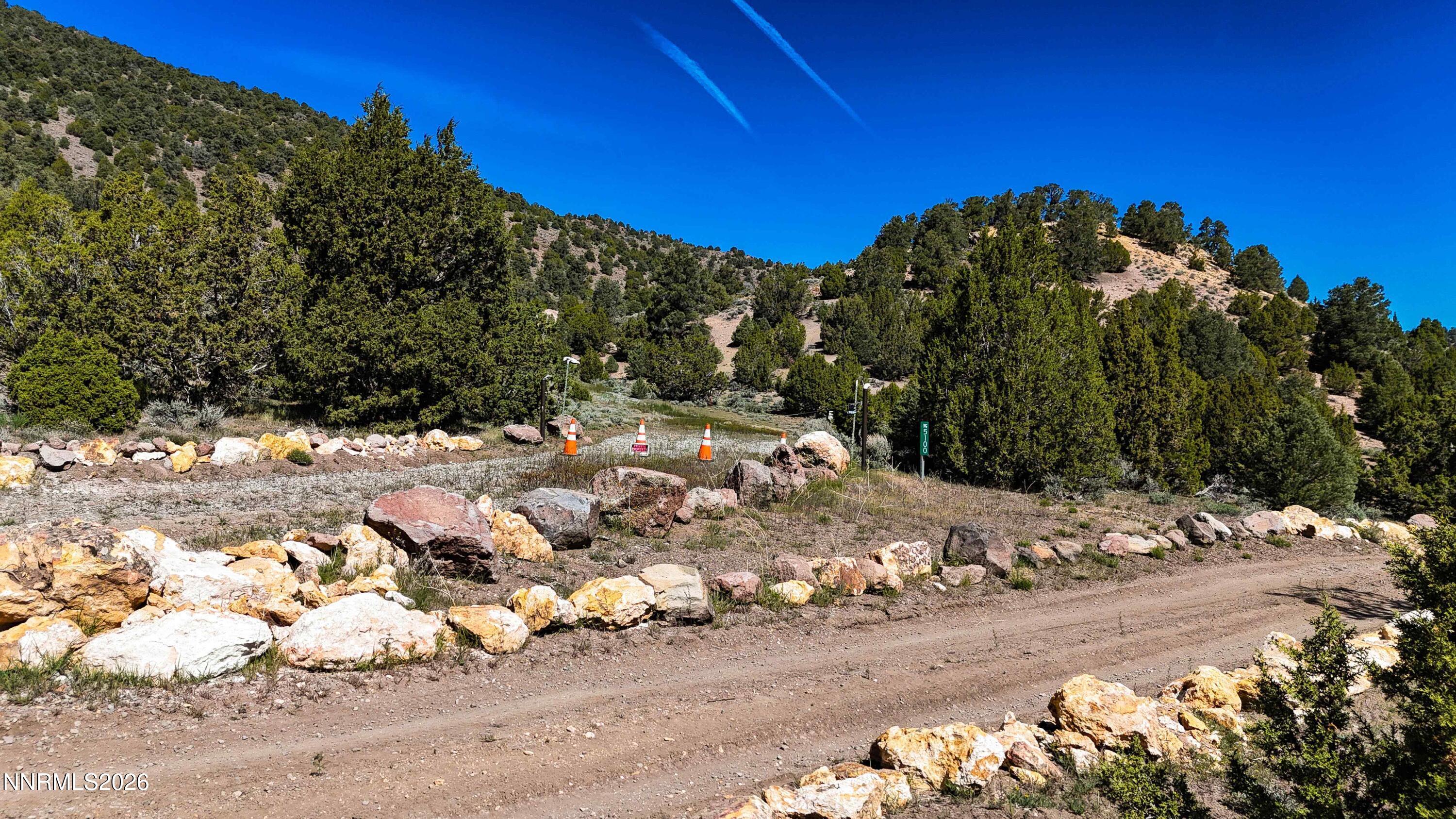 2120 Castle Peak Road Reno, NV 89521 - Photo 43 of 54 a view of a yard with a tree
