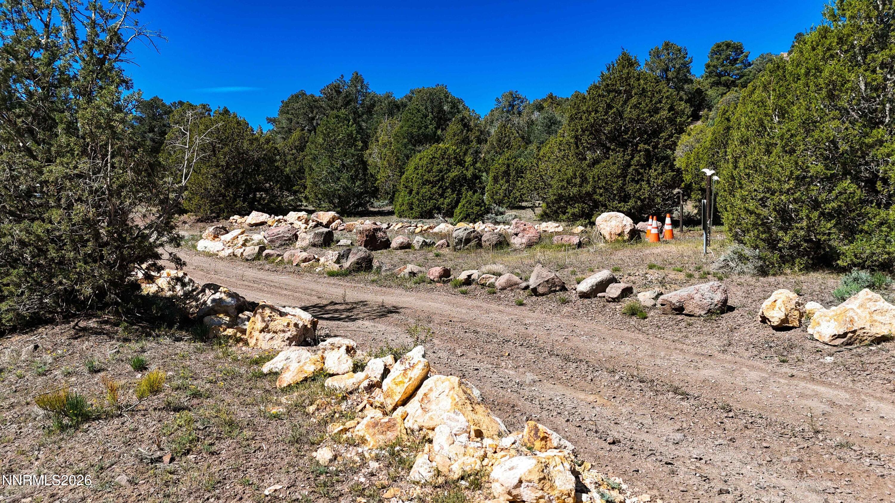2120 Castle Peak Road Reno, NV 89521 - Photo 44 of 54 a view of a road with a tree