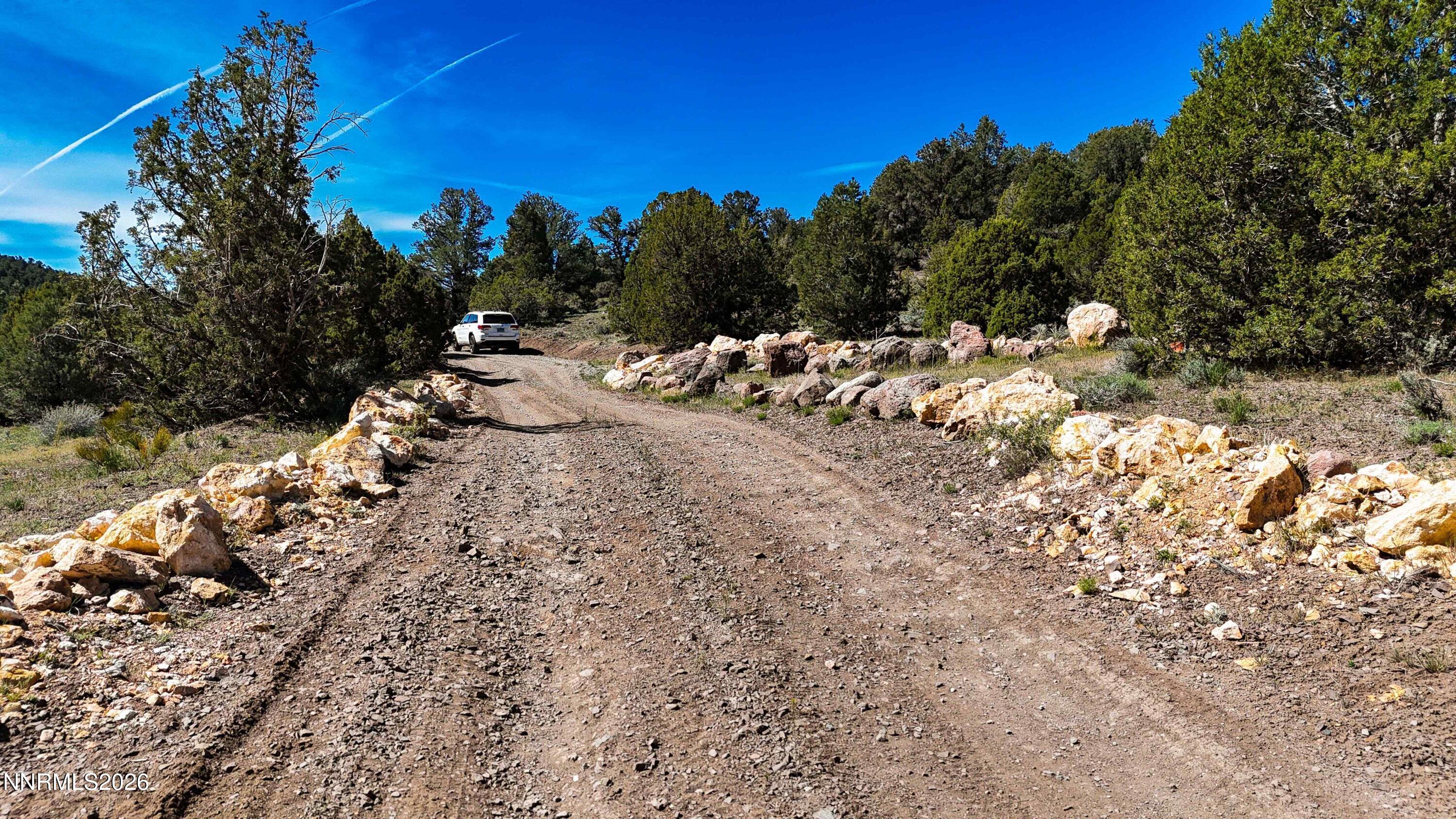 2120 Castle Peak Road Reno, NV 89521 - Photo 46 of 54 a view of a forest with trees