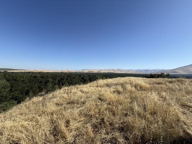 1900 North Piedra Road Sanger, CA 93657 - Photo 10 of 13