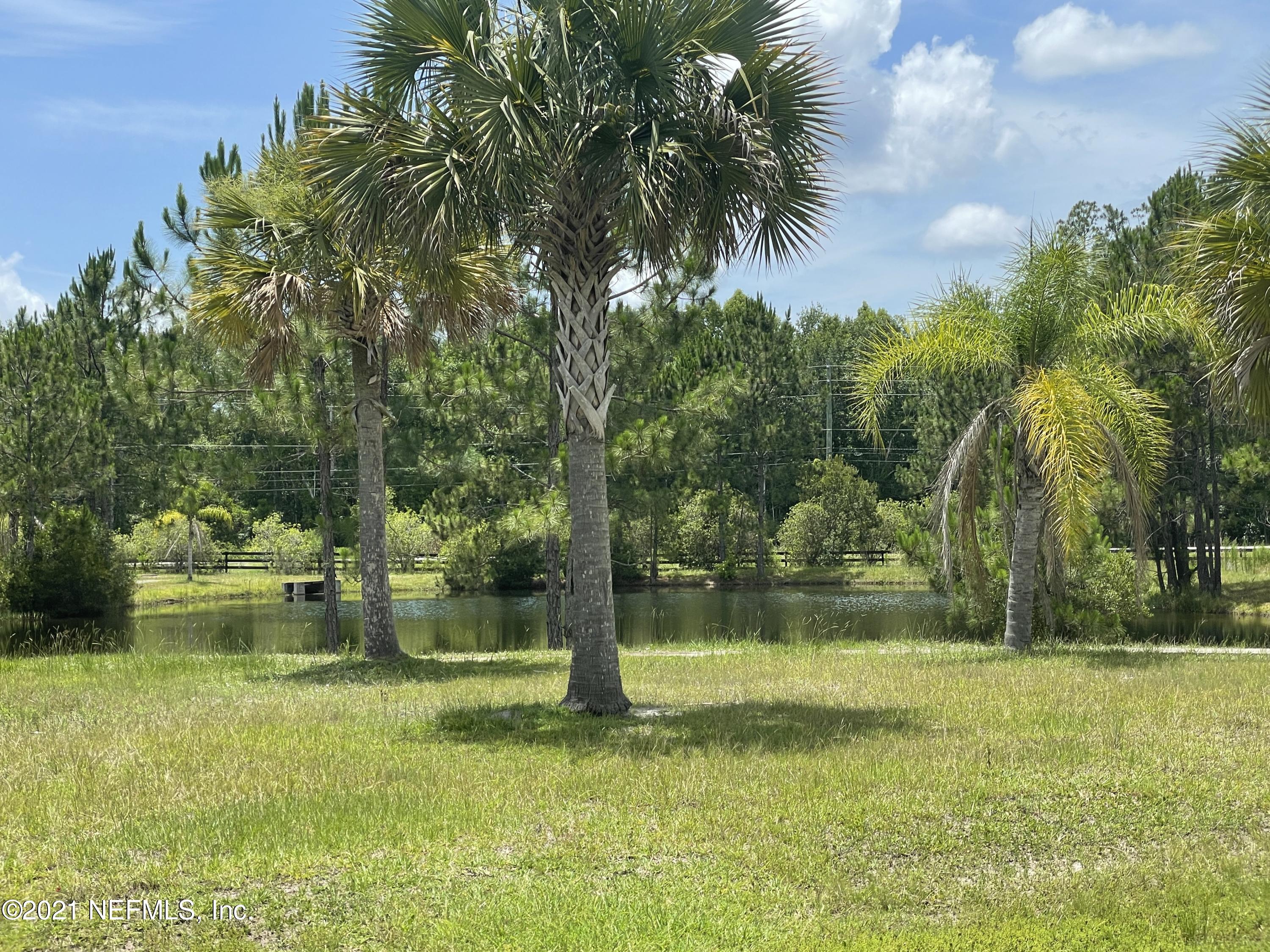 127 Foxcraft Street St. Augustine, FL 32092 - Photo 18 of 77 a view of a garden with a fountain