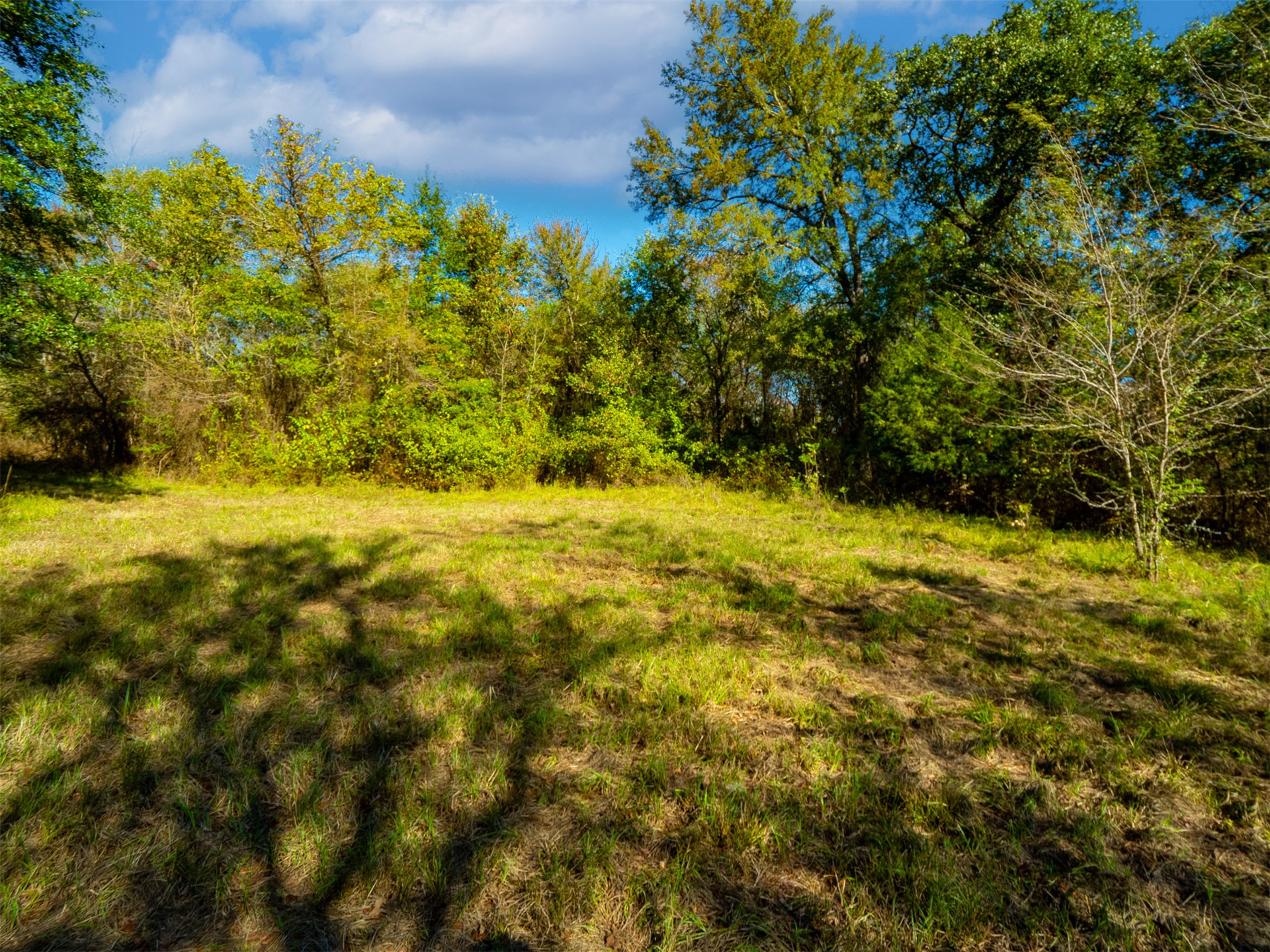 1599 North 4010 Road Boswell, OK 74727 - Photo 12 of 57 Expansive open land area with natural tree lines
