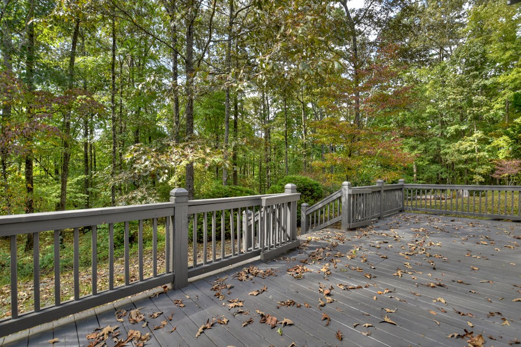 67 Plantation Lane Blue Ridge, GA 30513 - Photo 16 of 50